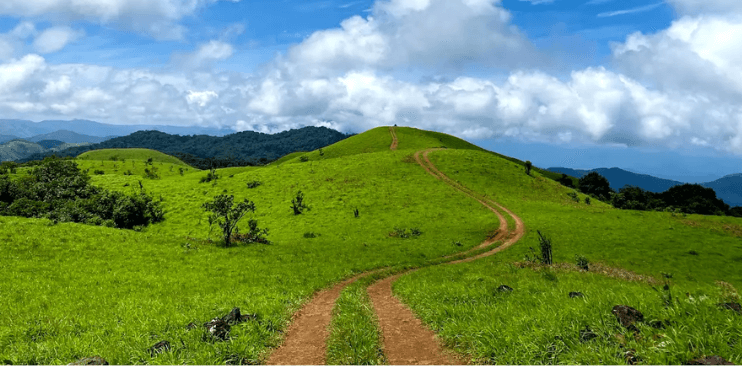 A winding dirt road through a lush green field at Pandavar Gudda, a site rich in history and scenic beauty.