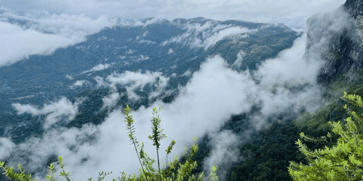 Scenic view from Rani Jhari Viewpoint, showcasing mountains and clouds above lush green forests in the Mudigere region.