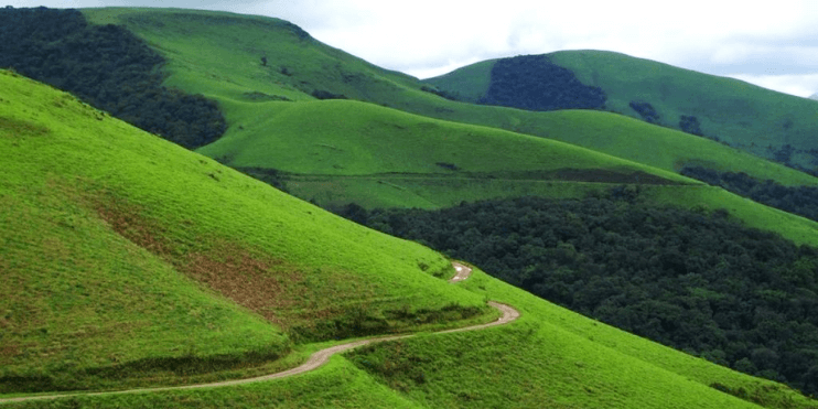 A green hill with a winding road, showcasing the lush landscape of Mudigere during the ideal visiting season.