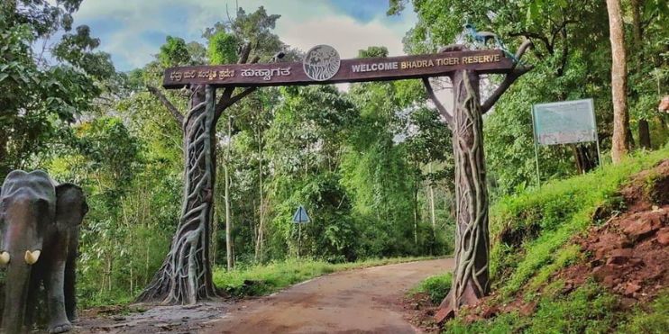 Entrance to the elephant sanctuary in Kerala, surrounded by lush greenery and welcoming visitors to wildlife experiences.