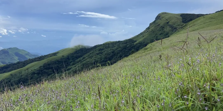 A grassy hillside adorned with colorful flowers, framed by majestic mountains in the background, inviting for nature walks.
