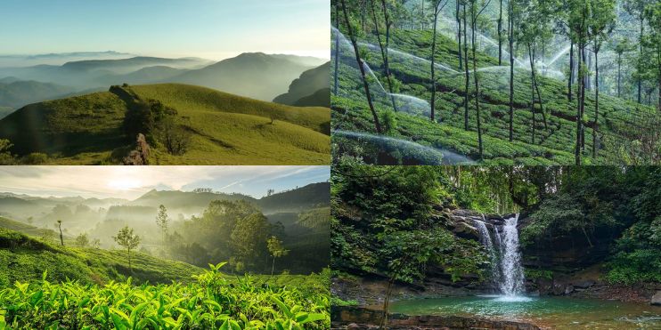 Four scenic images showcasing mountains, trees, and waterfalls, highlighting nature's beauty and tranquility.