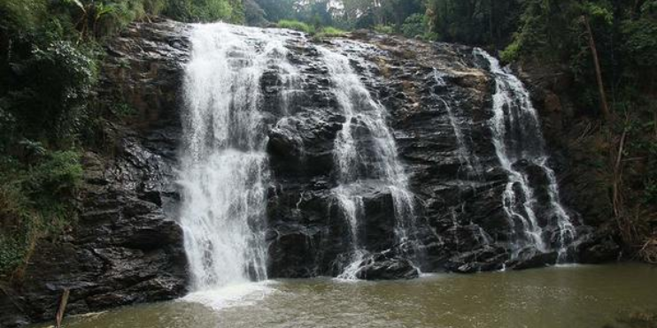 A stunning waterfall cascades through a lush forest, surrounded by greenery, inviting visitors to explore its beauty.