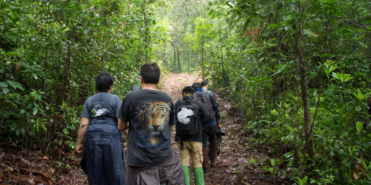 A group of people walking along a lush trail in the Agumbe Rainforest, surrounded by dense greenery and towering trees.