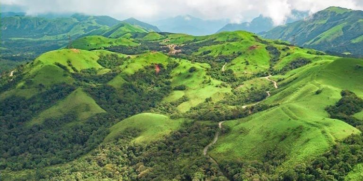 Lush green hills of Sri Lanka with blooming wildflowers, showcasing the serene beauty of the Devaramane Trek in Karnataka.