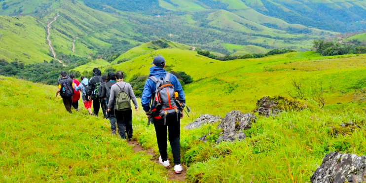 A group of hikers ascending Mullayanagiri, the highest peak in Karnataka, surrounded by lush greenery and misty valleys.
