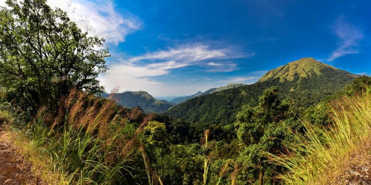 A scenic view of mountains from a hiking trail, showcasing Kottigehara's natural beauty and tranquil landscape.