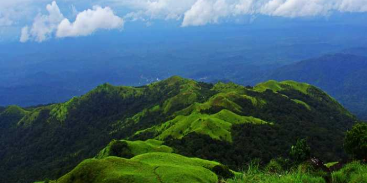 Mountain view in Coorg, showcasing lush green grass and rolling hills under a clear blue sky, highlighting the region's beauty.