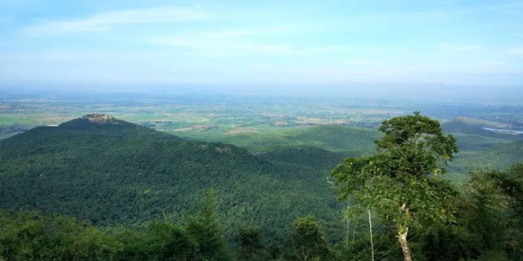 A panoramic view of the Biligiri Ranga Hills, showcasing mountains and valleys under a clear blue sky.