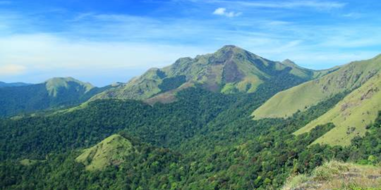 Lush green mountains of Tadiandamol, surrounded by shola forests, offer a serene escape in the Western Ghats.