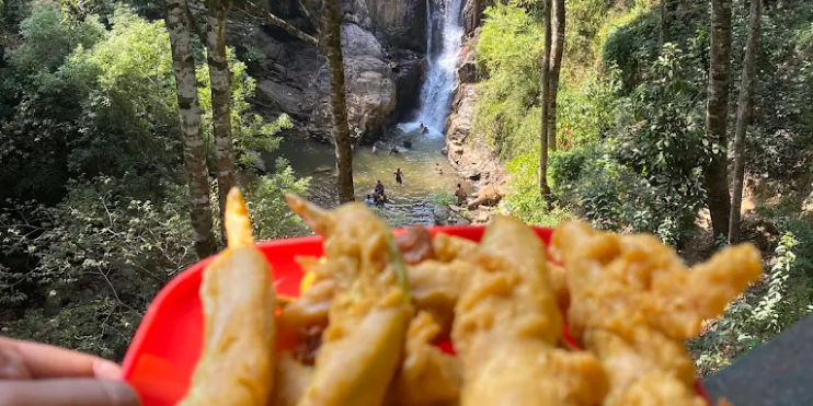 A person holds a plate of food in front of a scenic waterfall, enjoying a meal amidst nature's beauty at Kodige Falls.