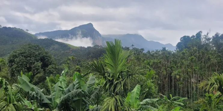 The Magic of Rustic Outdoor Dining at Vanaba Hillview