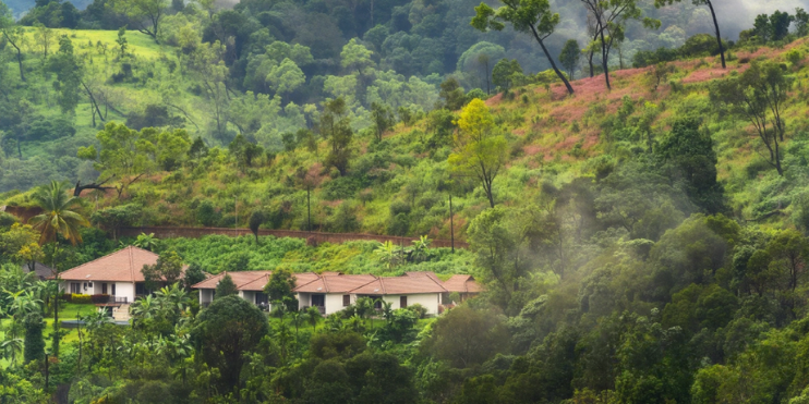 Connecting with Nature: The True Essence of Chikmagalur Homestays 