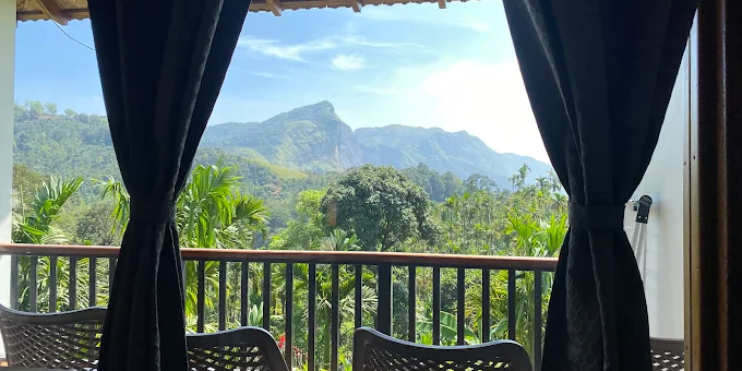 Nature and Scenery—The Healing Atmosphere of the Western Ghats