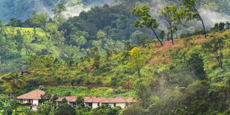 Why Vanaba Hillview Is Becoming a Favorite Among Remote Workers