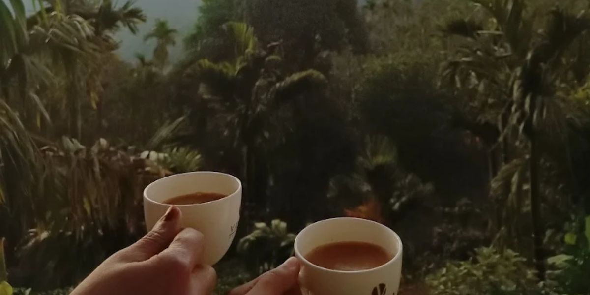 Explore Top Places to Visit in Chikmagalur for Couples and Book the Perfect Homestay