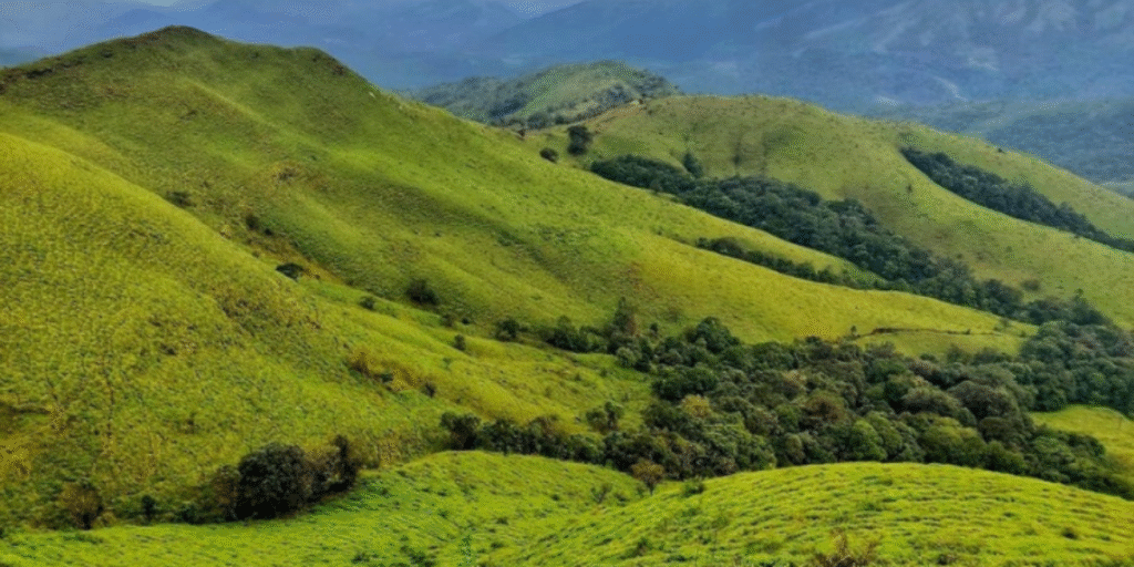 Exploring Kyatanamakki Hills During Summer